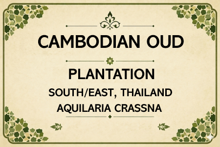Cambodian Sweet Oud Oil (PLANTATION) (Age 5+ Years)