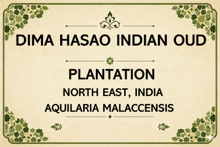 Dima Hasao Oud Oil (PLANTATION)