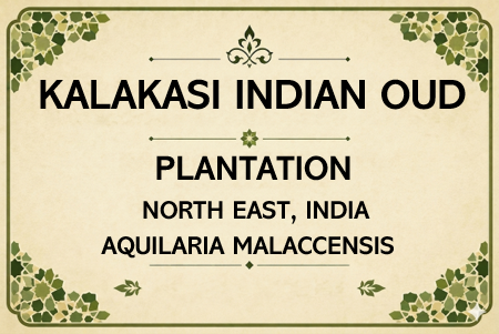 Kalakasi Oud Oil north east India (PLANTATION)