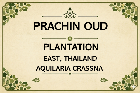 Prachin Eastern Thailand Oud Oil Aged (PLANTATION)
