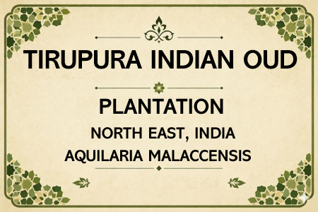 Tirupura Oud Oil (PLANTATION)