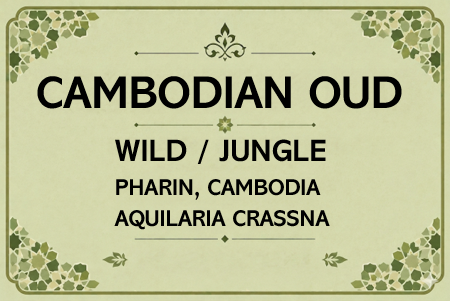 Cambodian Sweet Oud Oil, West Cambodia - (WILD / JUNGLE) (Age 7+ Years)