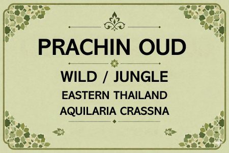 Prachin Eastern Thailand Oud Oil Aged (WILD / JUNGLE)