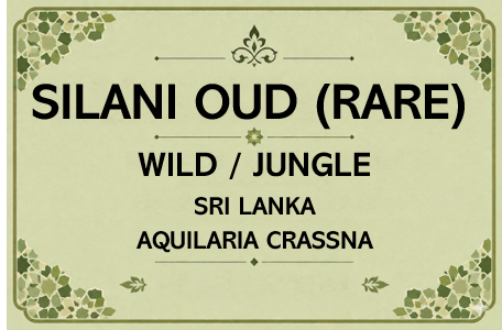 Silani Oud Oil Sri Lankan (PLANTATION) (Rare)