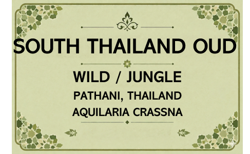 South Thailand Oud Oil Aged ( WILD / JUNGLE )