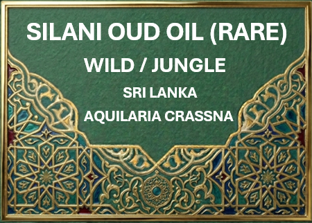 Silani Oud Oil Sri Lankan (PLANTATION) (Rare)